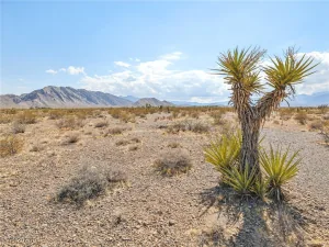 broker reciprocity