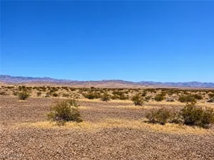 broker reciprocity